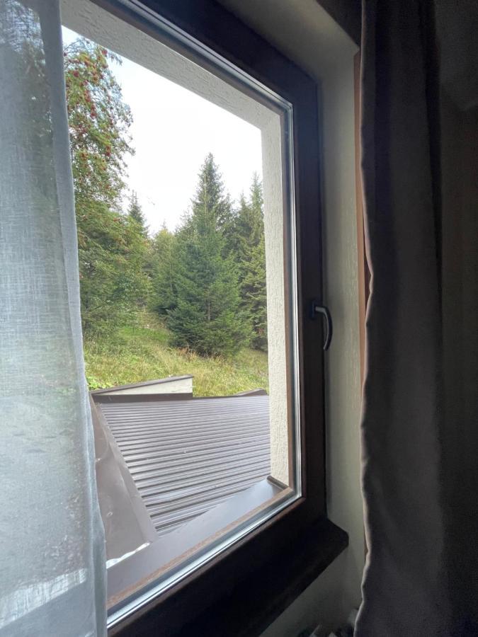 Vila Lucky Kop & Restoran Kopaonik Kültér fotó