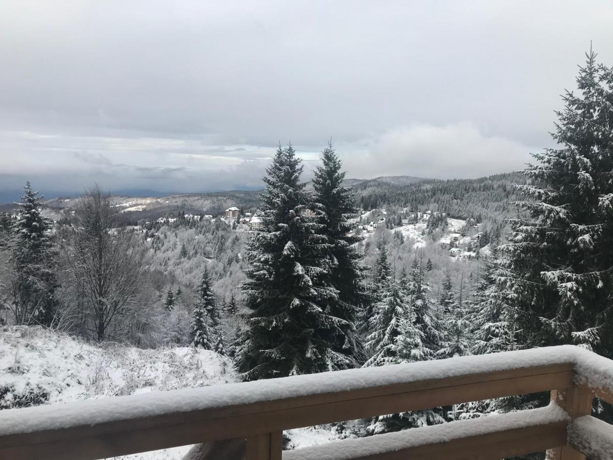 Vila Lucky Kop & Restoran Kopaonik Kültér fotó